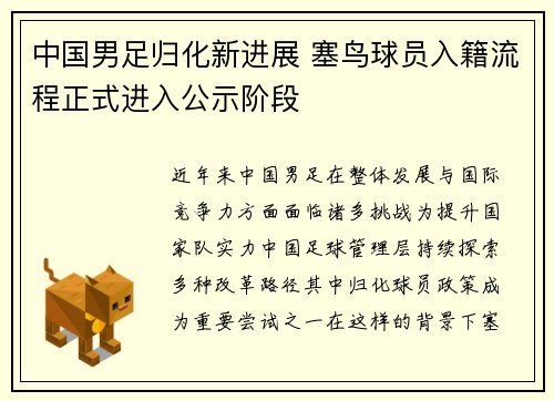 中国男足归化新进展 塞鸟球员入籍流程正式进入公示阶段